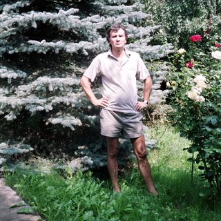 Man stands in a garden near a pine tree.