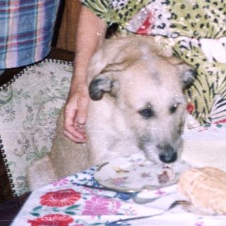 Couple and dog near a table with food and decor.