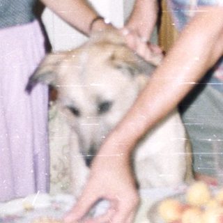 Couple and dog near table with food and plants.