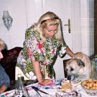 People share a meal with a dog at a table.