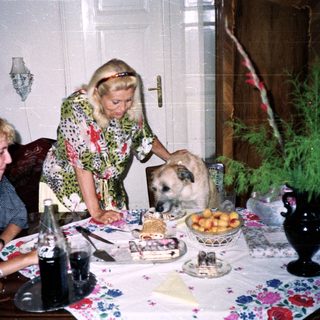 People share a meal with a dog at a table.