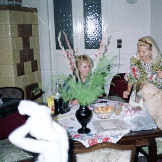Woman and dog sit near table with fruit and flowers.