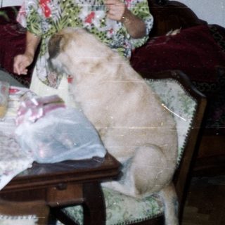Woman and dog sit near table with fruit and flowers.