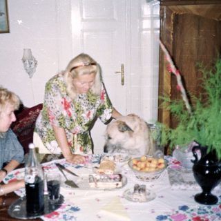 People and a rabbit at a table with food.