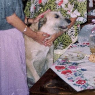 Woman and elderly woman with dog in a decorated room.