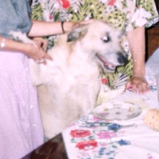 Two women and a dog stand near a table indoors.