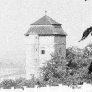 Here's a brief summary of the image: Old tower stands amid overgrown field and foliage.