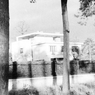 Building behind trees, with shadows on the grass.