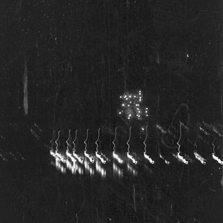 Light trails of vehicles moving through a dark forest.