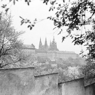 Black and white view of Prague Castle through trees.