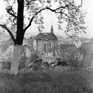Church sits on a hill, framed by a tree.