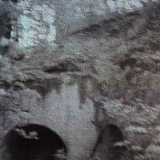 Distorted image showing an indistinct, dark, possibly natural form.