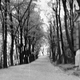 Tree-lined path slopes upward in a grayscale landscape.