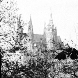 Castle visible through trees in a dark, wooded landscape.