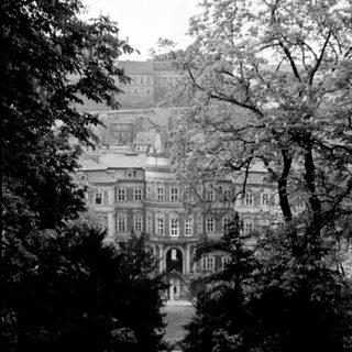Elegant building framed by trees, viewed from a garden path.