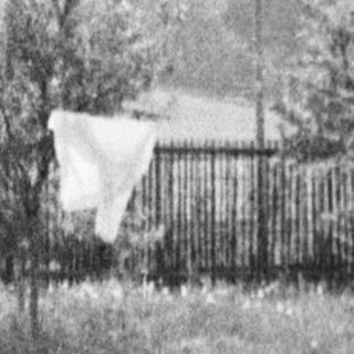 Here's a brief summary of the image: Rural landscape with a fence, trees, and distant hills.