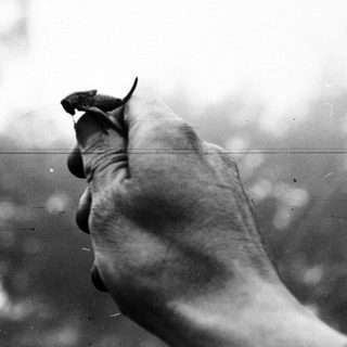 Hand holding a small creature, blurred background.