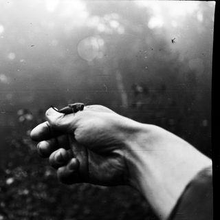 Hand holds a small insect outdoors in a blurry scene.