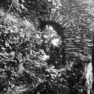 Stone archway framed by foliage and a bright light.