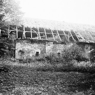Dilapidated building, overgrown with vegetation, in a wooded area.