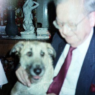 Older man pets a dog in a home setting.