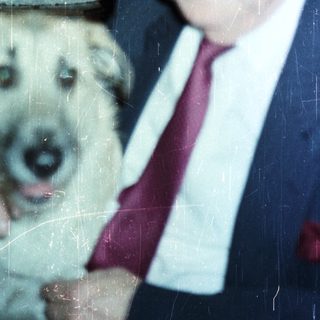 Older man pets a dog in a home setting.
