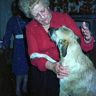 Woman in red shirt pets a dog indoors.