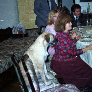 Family dining at a table with a dog present.