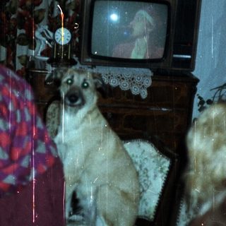Family dining with a dog, watching TV in the background.