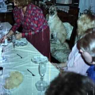 Family dining with a dog, watching TV in the background.