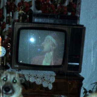 Family dining with a dog, watching TV in the background.
