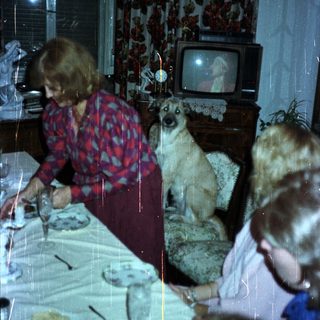 Family dining with a dog, watching TV in the background.