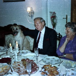 Couple and dog at a formally set dinner table.