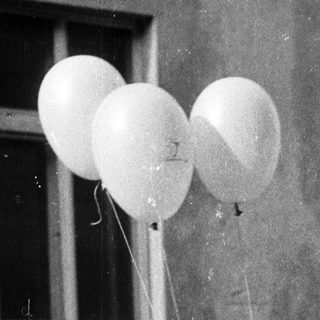 Here's a brief summary: Girl holds balloons, stands on cobblestone street.