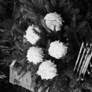 Black and white photo of a cemetery with graves.