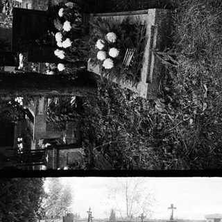 Black and white photo of a cemetery with graves.