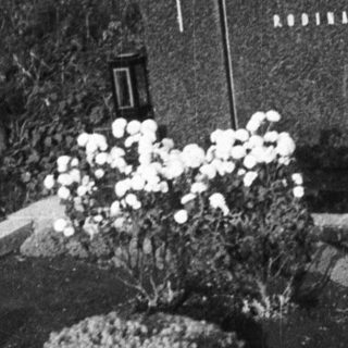 Here's a brief summary of the image: Grave markers and flowers in a monochrome cemetery scene.