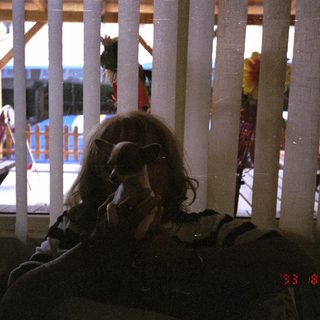 Person sits indoors, partially obscured by wooden slats.