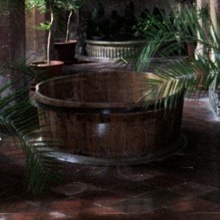 Elegant courtyard with plants, fountain, and arched passageway.