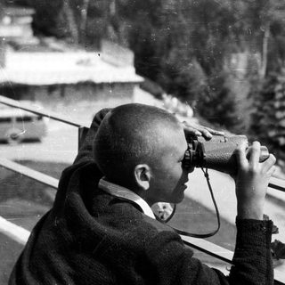 A young boy looks through binoculars, possibly at a view.