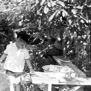 Boy in hat stands near a table outdoors.