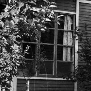 Man stands near house, surrounded by trees and foliage.