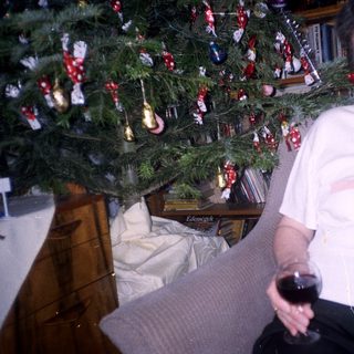 Woman holding wine near a decorated Christmas tree.
