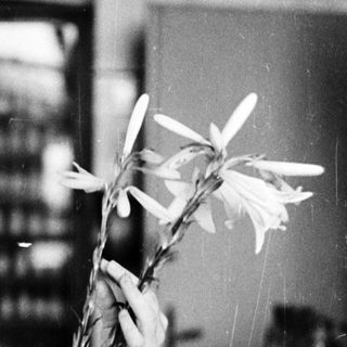 Woman in lab coat examines flowers in a botanical setting.