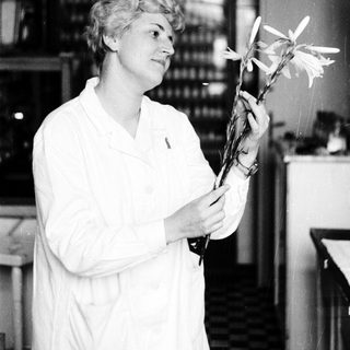 Woman in lab coat examines flowers in a botanical setting.