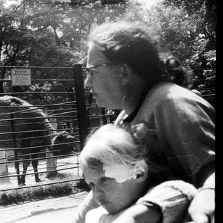 Man, child, and camels seen through a fence.