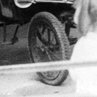 Man, child, and horse-drawn carriage in an outdoor setting.