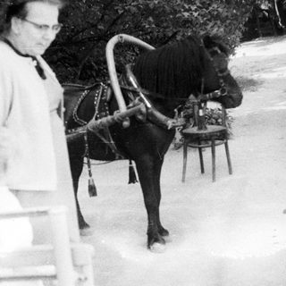 Man, child, and horse-drawn carriage in an outdoor setting.