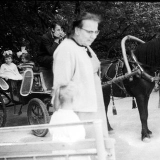 Man, child, and horse-drawn carriage in an outdoor setting.