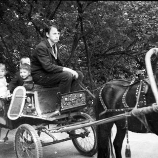 Man and children in a carriage being pulled by a horse.